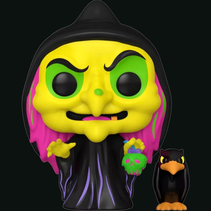 Disguised Evil Queen with Raven sealed box